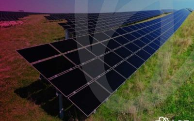 La granja solar más grande del mundo